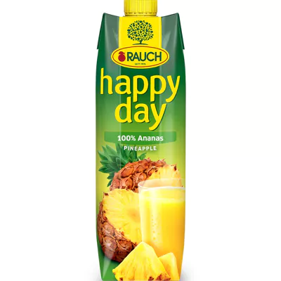 Happy Day Ananassaft  (1l)