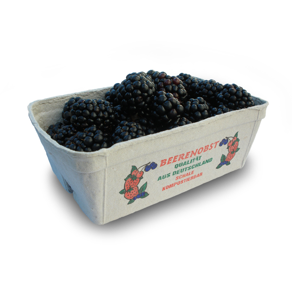 Brombeeren - deutsch (200g Schale)