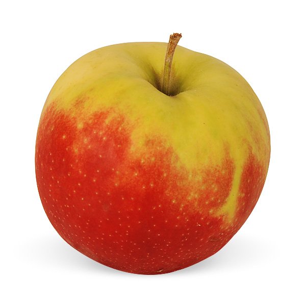 Elstar Äpfel