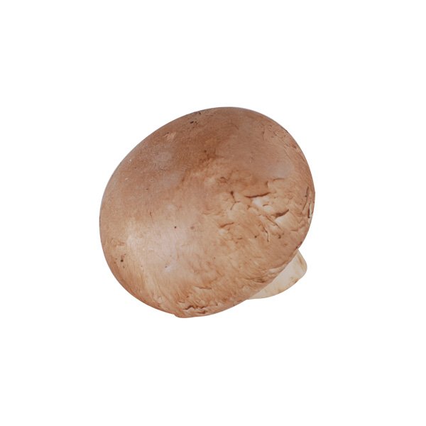 Egerlinge