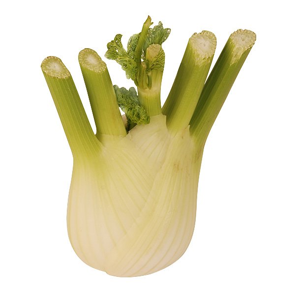 Fenchel