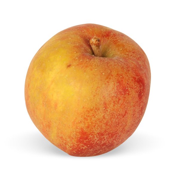 Boskoop Äpfel - neue Ernte