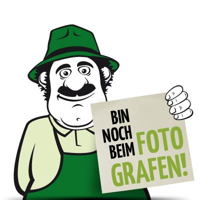 BIO Aprikosenwürfel - Nachfüllpackung (240g)