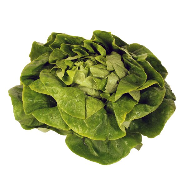 Kopfsalat - fränkisch