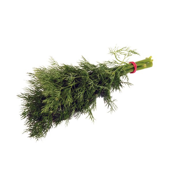 Dill - fränkisch