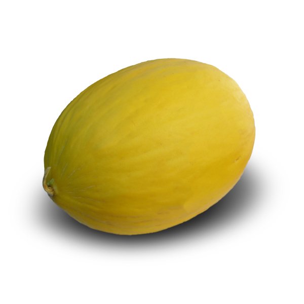 Honigmelone