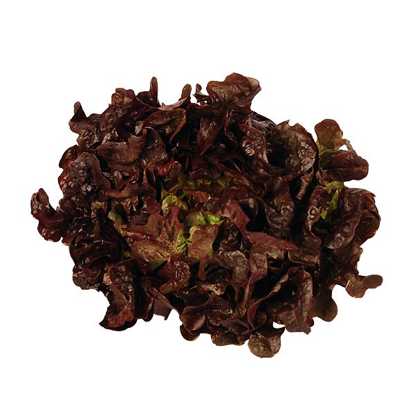 Eichblattsalat - fränkisch