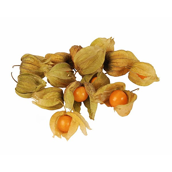 [3_0097] Physalis
