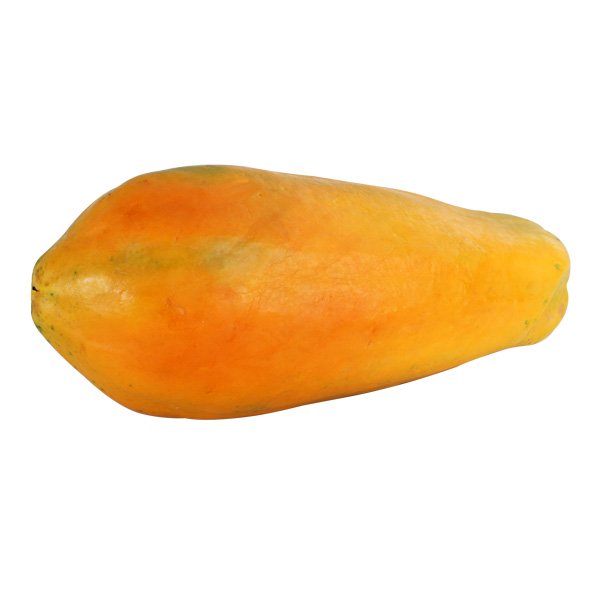 [3_0096] Riesenpapaya