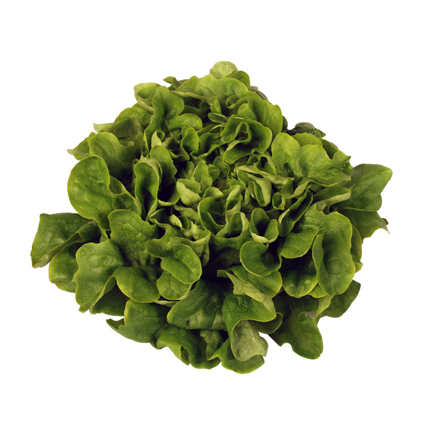 [3_0411] Vitalsalat - fränkisch