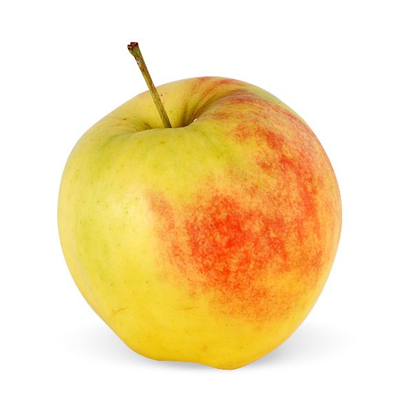 Jonagold Äpfel - neue Ernte