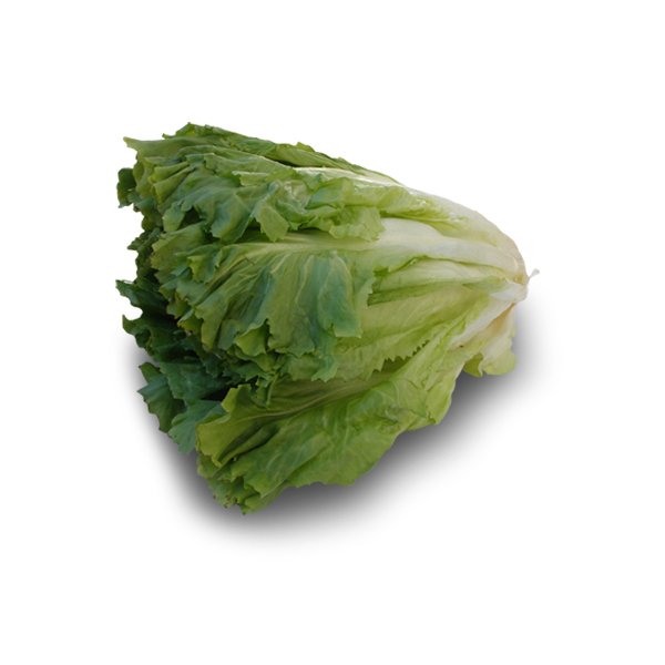 Endiviensalat - fränkisch