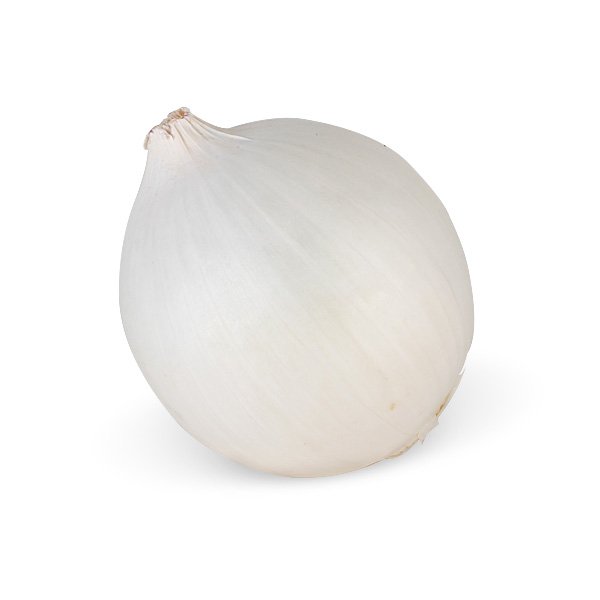 Zwiebel - weiß