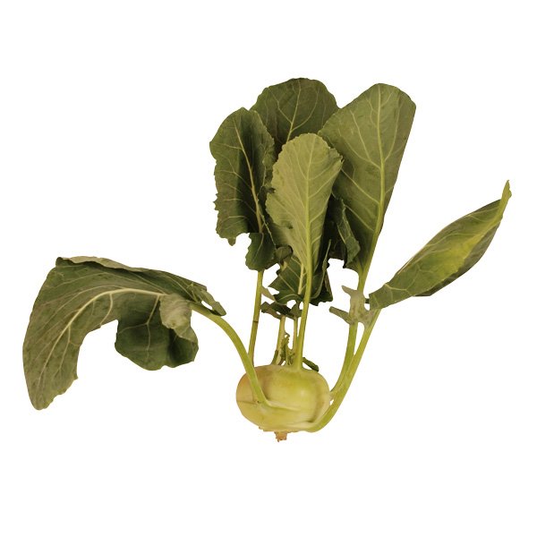 Kohlrabi - fränkisch