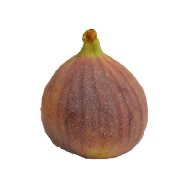 Feigen - frisch