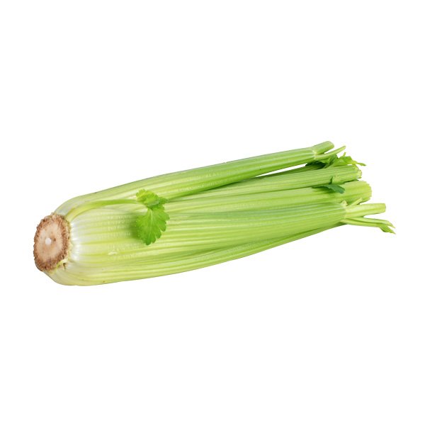 Stangensellerie