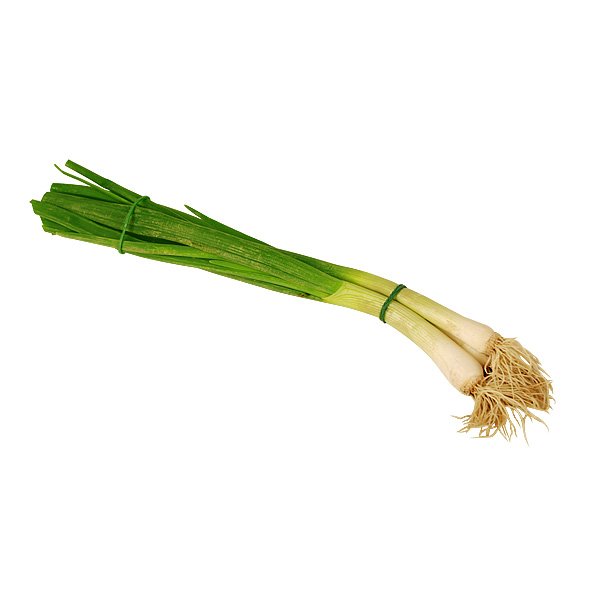 [3_0262] Lauchzwiebel